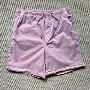 American Eagle Outfitters Shorts